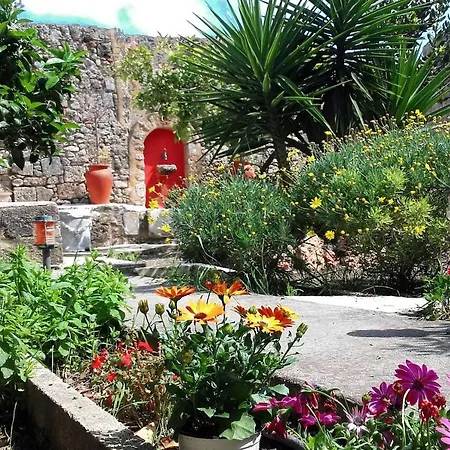 Semesterbostad Serene House,Beautiful Garden In Old Town *