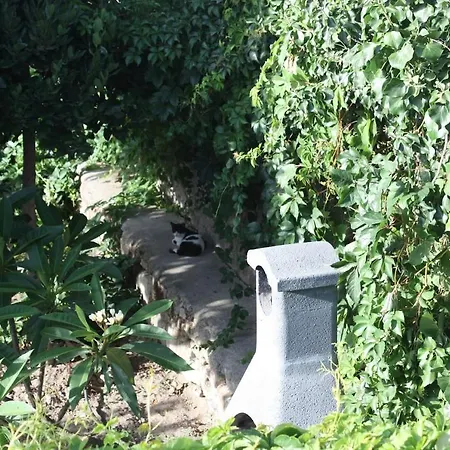 Semesterbostad Serene House,Beautiful Garden In Old Town