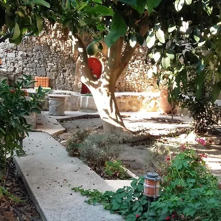 Semesterbostad Serene House,Beautiful Garden In Old Town *