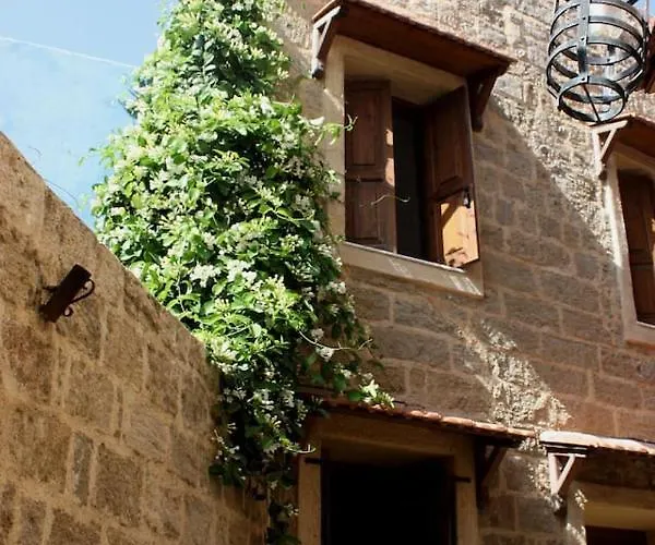 Serene House,beautiful Garden In Old Town