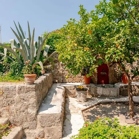 Serene House,beautiful Garden In Old Town