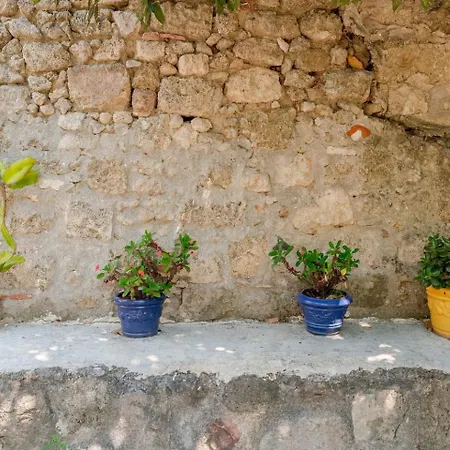 Serene House,beautiful Garden In Old Town Holiday home *