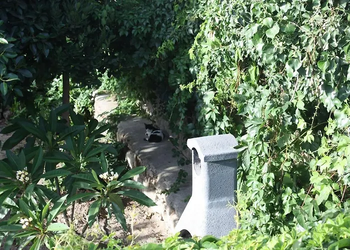 펜션 Serene House,beautiful Garden In Old Town