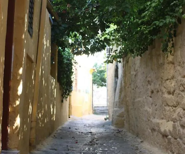 펜션 Serene House,beautiful Garden In Old Town